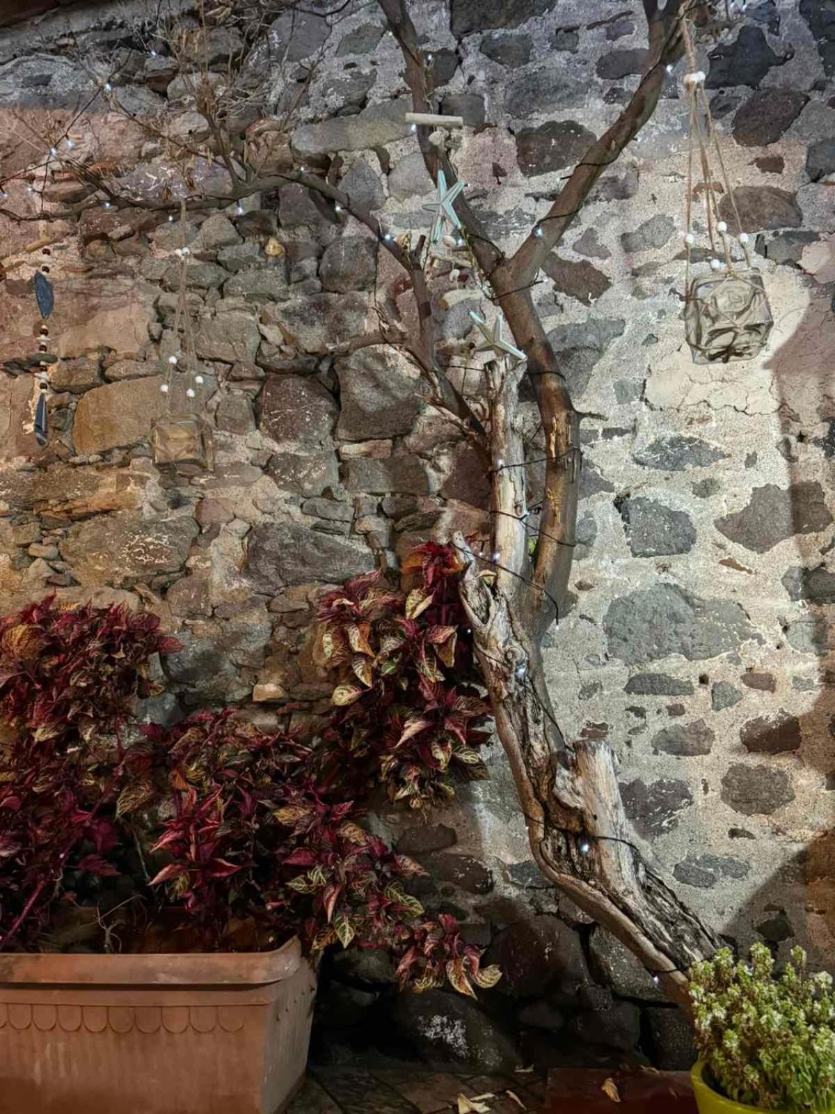 Afroditi'S 1 Eresos  Exterior photo